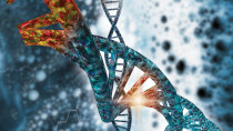 CRISPR.jpg